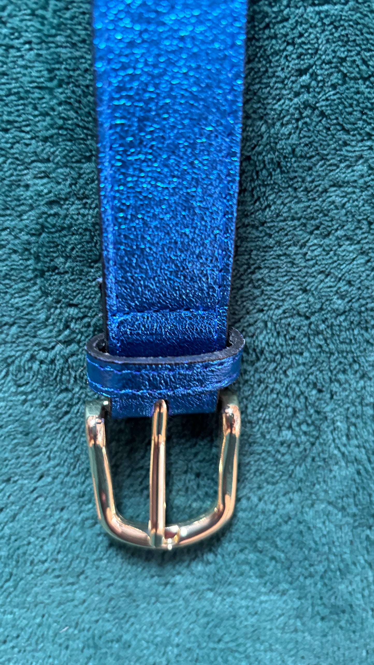 Avec cette ceinture grande taille en cuir pailleté, ajoutez une dose de peps et d'éclat à vos tenues pour toutes les occasions. Son style créatif et glamour la rend indispensable pour celles qui souhaitent briller au quotidien ou lors d'événements plus habillés.